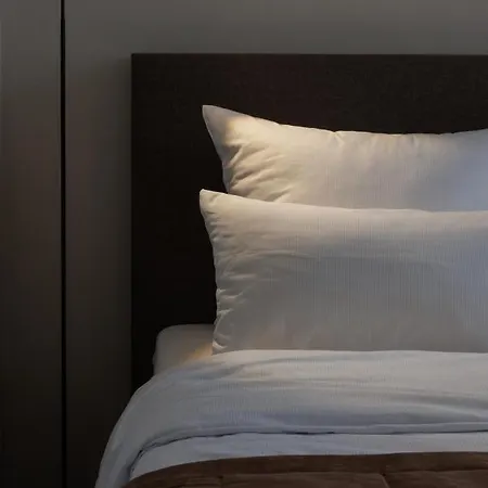 Jellentrup - Adults Only